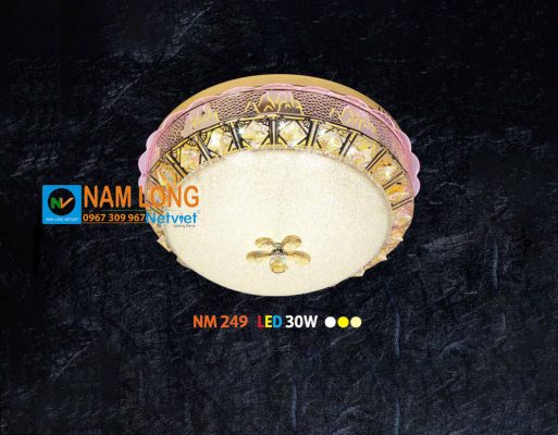 Đèn ốp trần phòng ngủ và bếp NM249 LED 30W