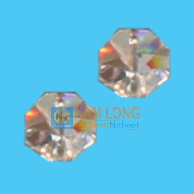 Cúc áo pha lê trong suốt, hạt đa giác nhiều mặt cắt phản chiếu ánh sáng, phụ kiện trang trí đèn NamLong NetViet