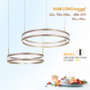 Đèn thả pha lê NB643A LED 160W 3 chế độ màu